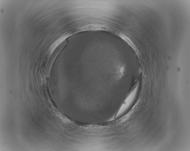 X0000062831081200602031531