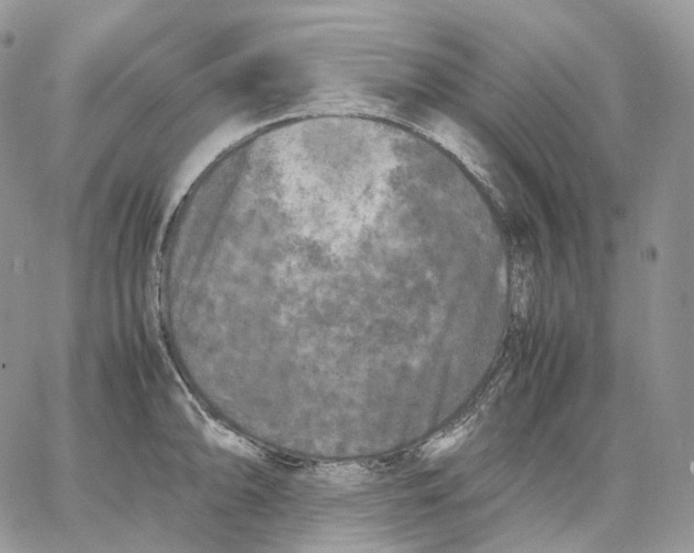 X0000062831094200602031531