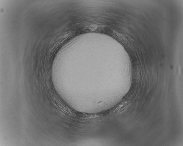 X0000062831105200602031530