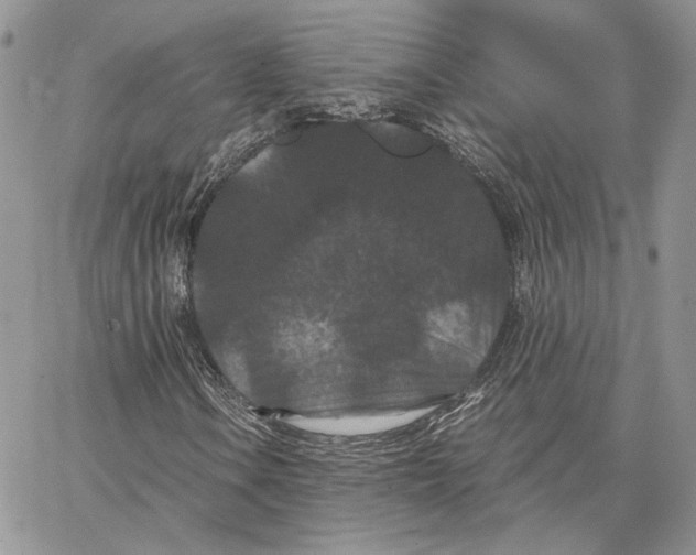 X0000062831106200602031530