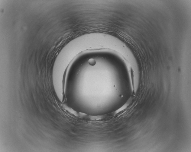 X0000062831107200602031530