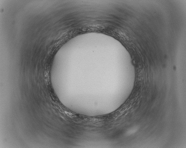 X0000062831109200602031530