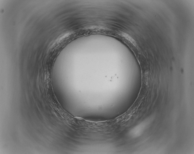 X0000062831111200602031530