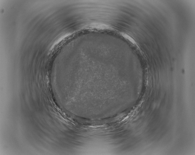 X0000062831112200602031530