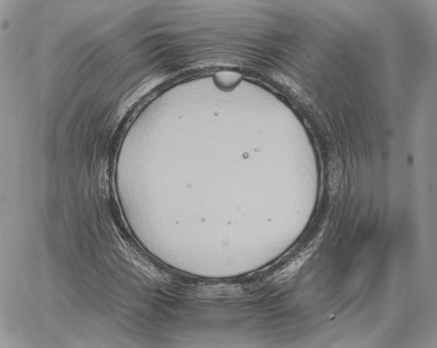 X0000062831113200602031530