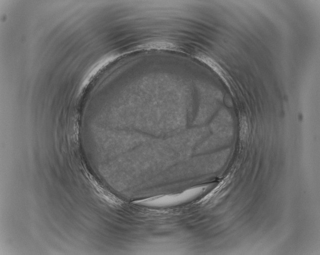 X0000062831115200602031530