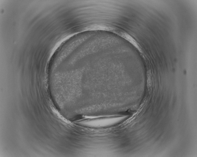 X0000062831116200602031530