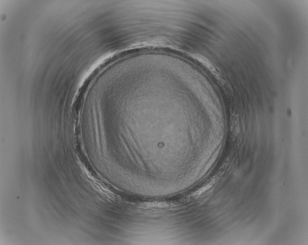 X0000062831118200602031530