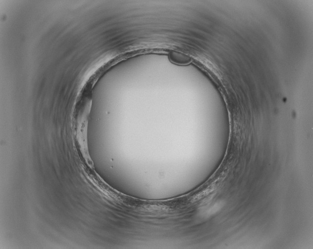 X0000062831119200602031530