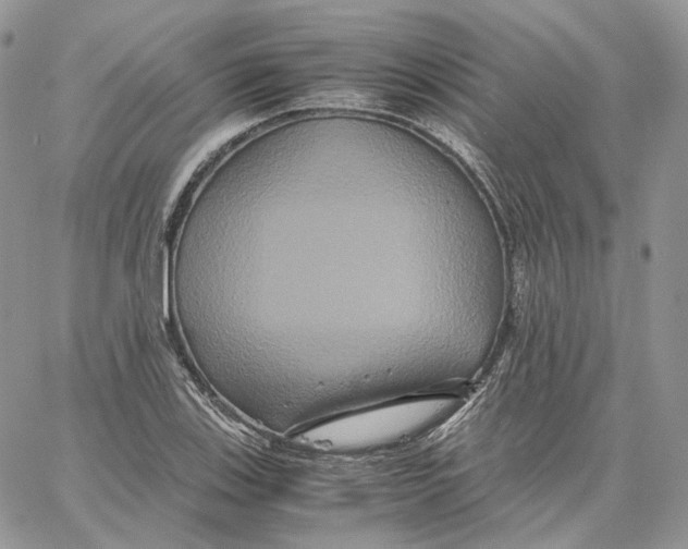 X0000062831123200602031530