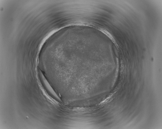 X0000062831128200602031530