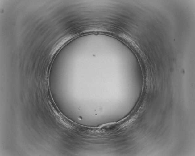 X0000062831129200602031530