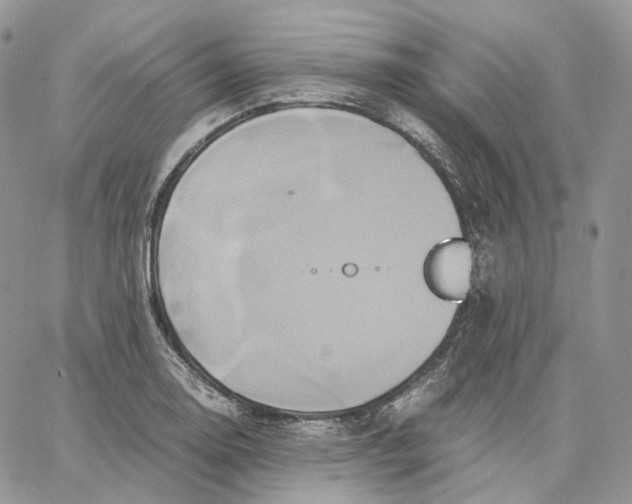 X0000062831130200602031530