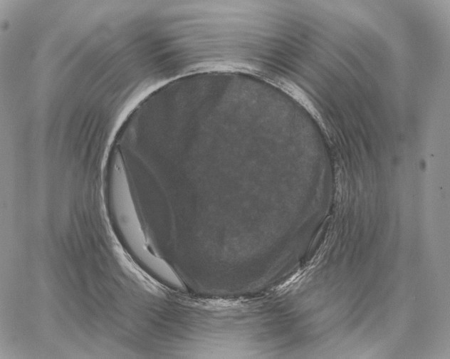 X0000062831132200602031530