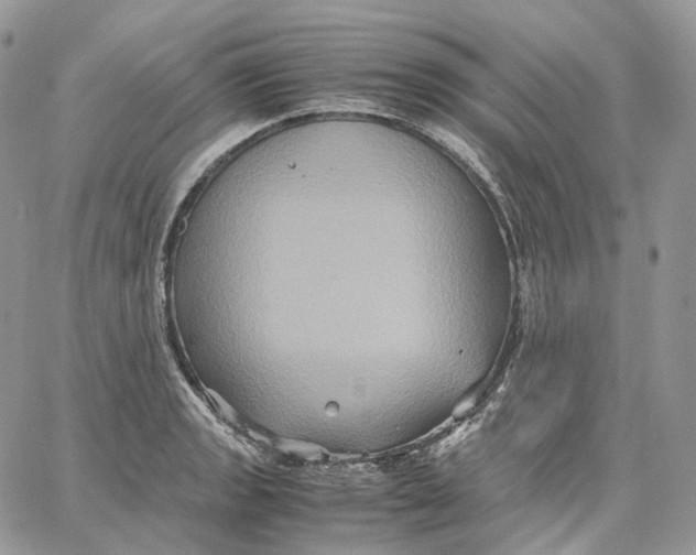 X0000062831133200602031530