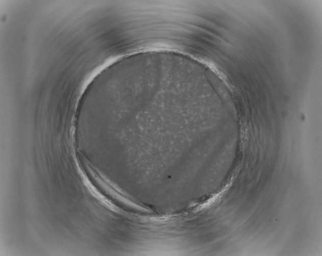 X0000062831134200602031530