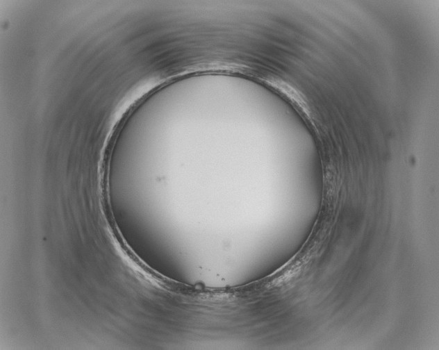 X0000062831135200602031530