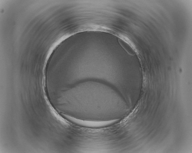 X0000062831136200602031530