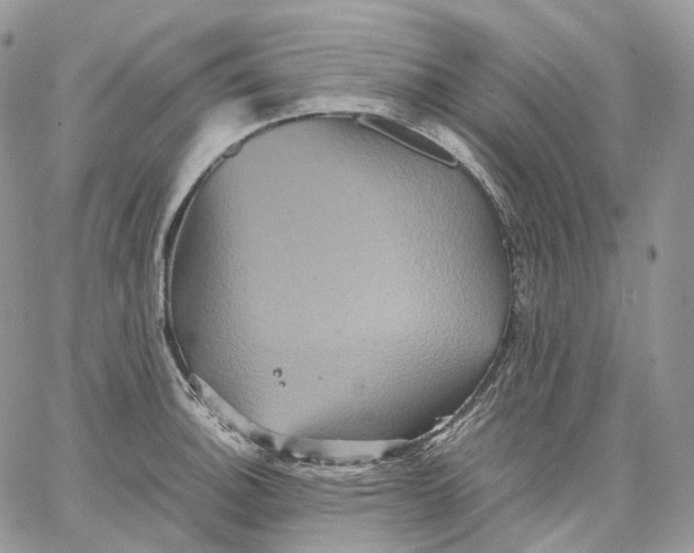 X0000062831140200602031531