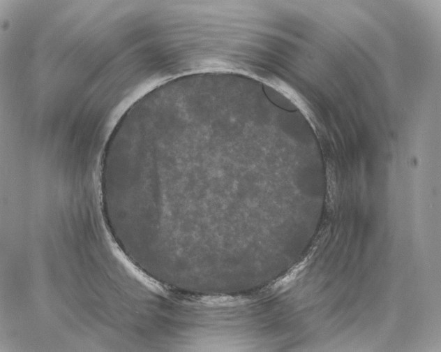 X0000062831142200602031531
