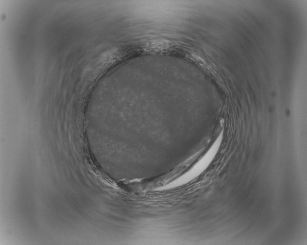 X0000062831153200602031530