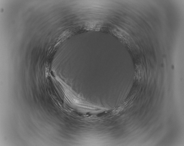 X0000062831154200602031530