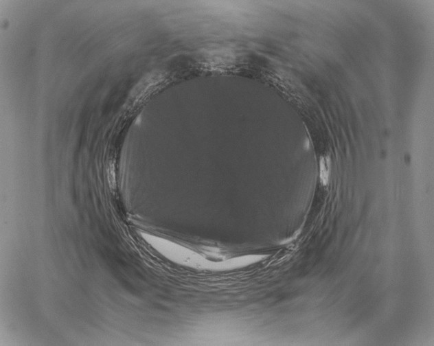 X0000062831155200602031530