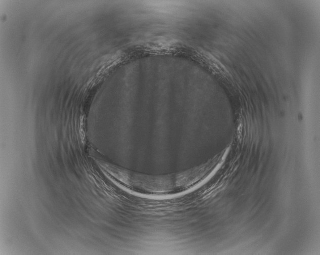 X0000062831156200602031530