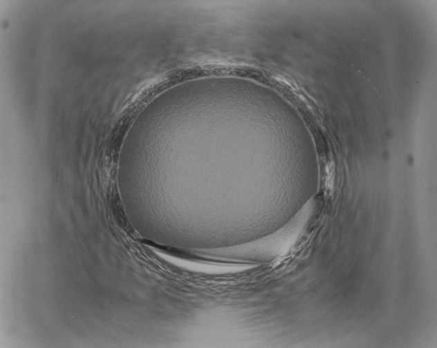 X0000062831157200602031530