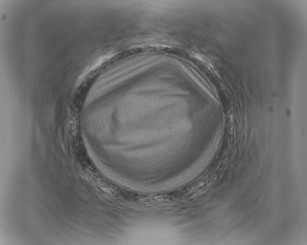 X0000062831159200602031530