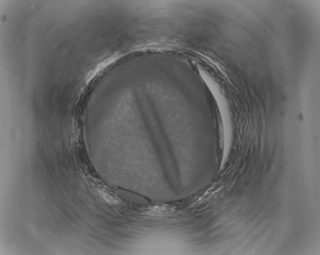 X0000062831160200602031530