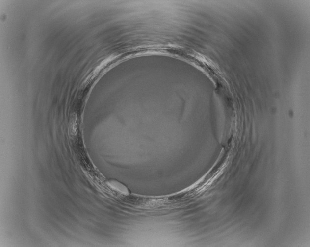 X0000062831161200602031530