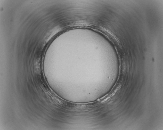 X0000062831162200602031530