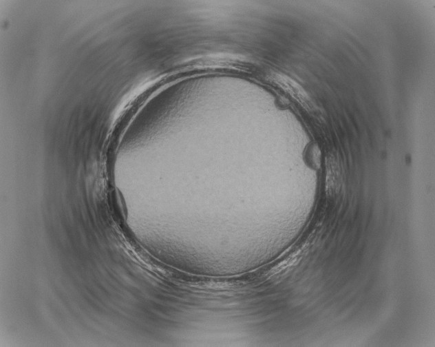 X0000062831164200602031530