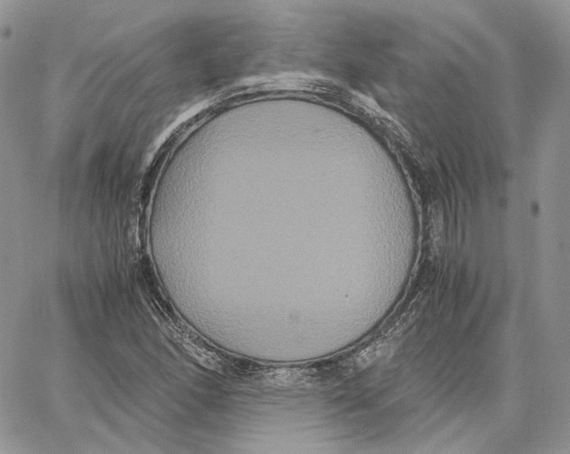 X0000062831166200602031530