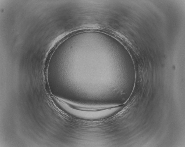 X0000062831168200602031530