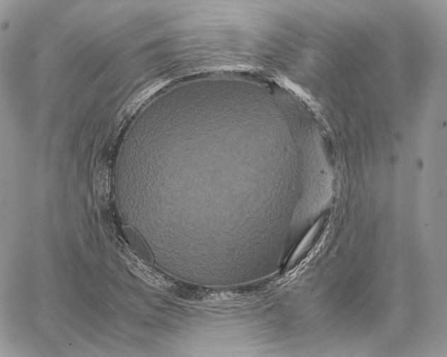 X0000062831169200602031530