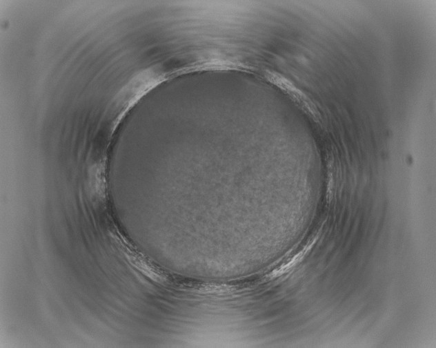 X0000062831170200602031530