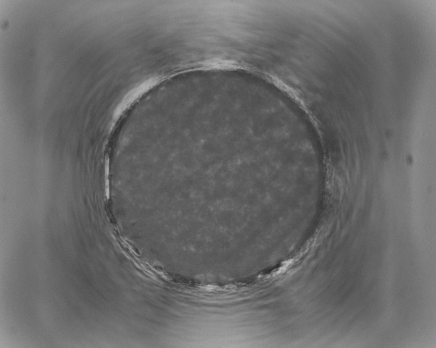 X0000062831171200602031530