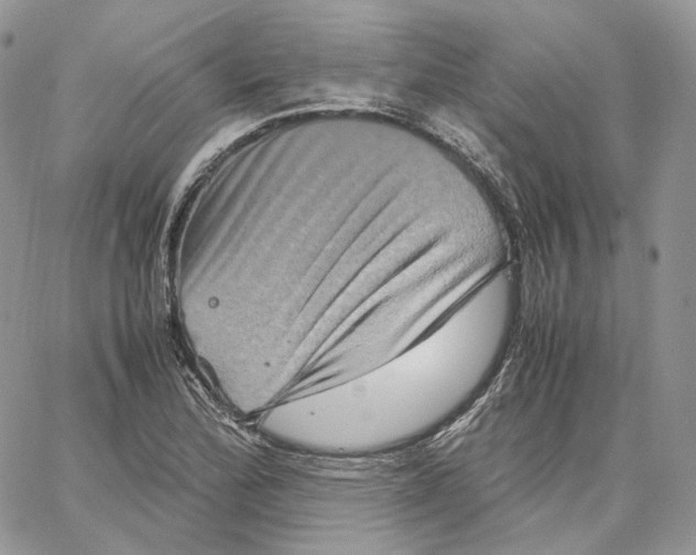 X0000062831172200602031530