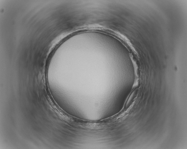 X0000062831176200602031529