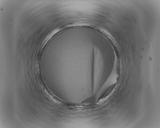 X0000062831177200602031529