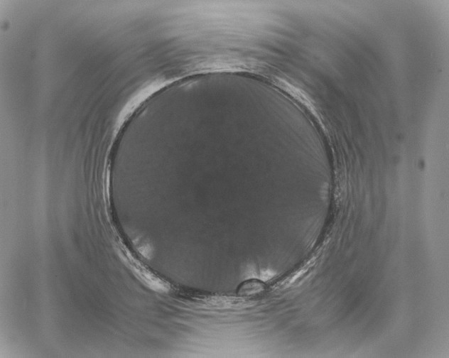 X0000062831179200602031529