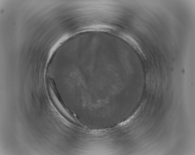 X0000062831180200602031529