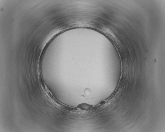 X0000062831182200602031529