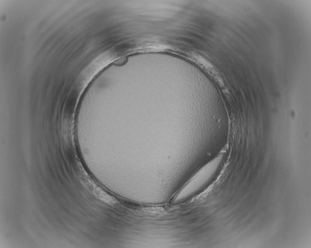 X0000062831186200602031529