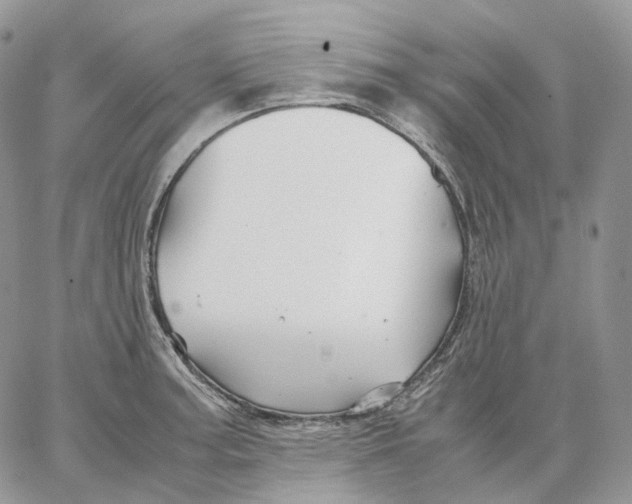 X0000062831187200602031529