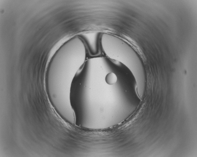 X0000062831188200602031529