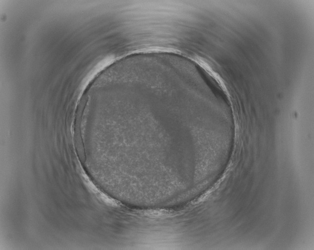 X0000062831189200602031529