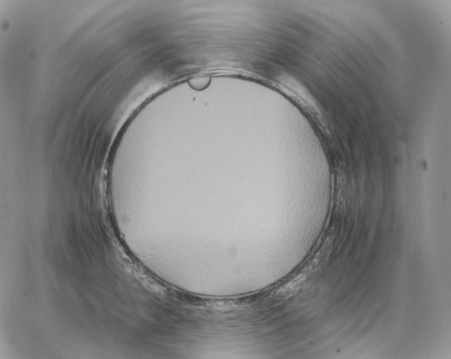 X0000062831190200602031529